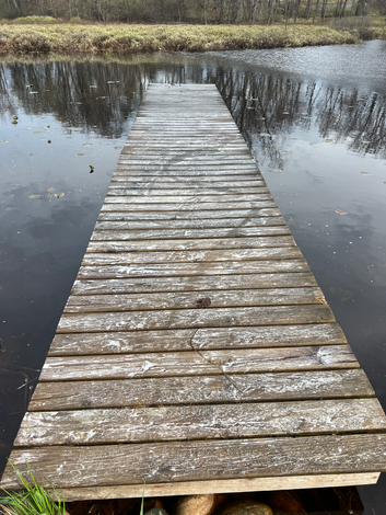 Seasonal Solutions work — dock and water
